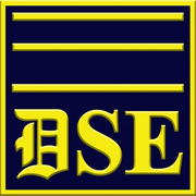 DSE Security logo